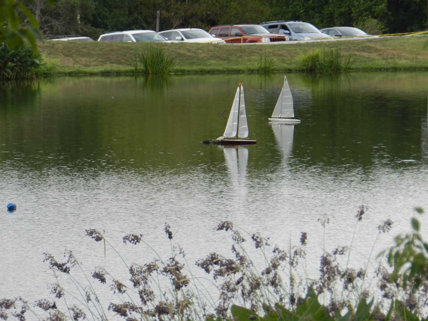 sailboats regatta